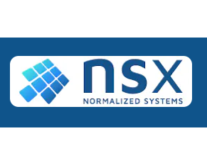 Logo NSX